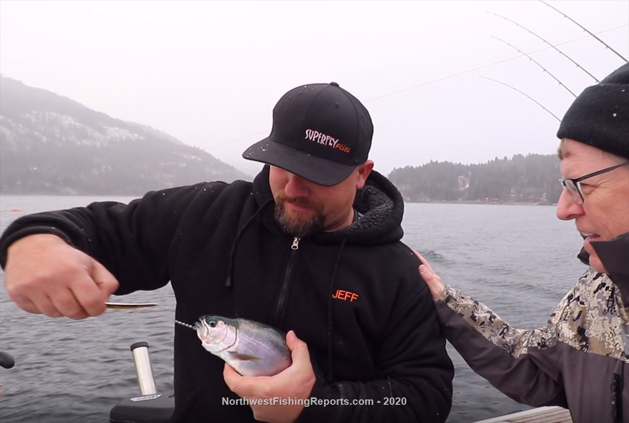 Pend Oreille Gerrard Rainbow Trout - NWFR