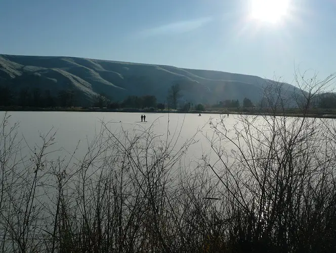 Dec. 2011 034.JPG