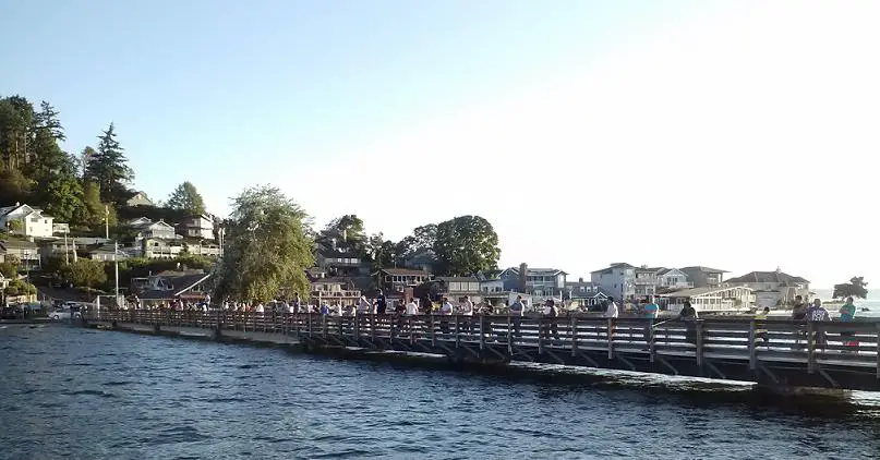 dash point.jpg