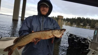 Northern Pike MI.jpg