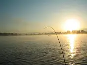 Kokanee Rods - Northwest Fishing Reports