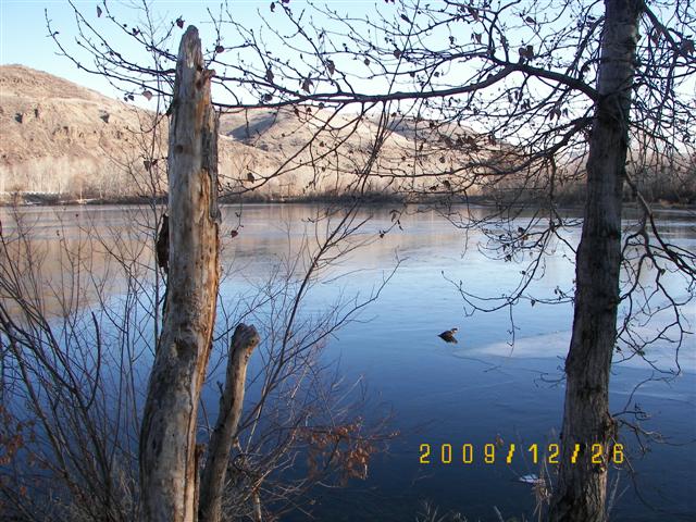 100_4048_Small.jpg