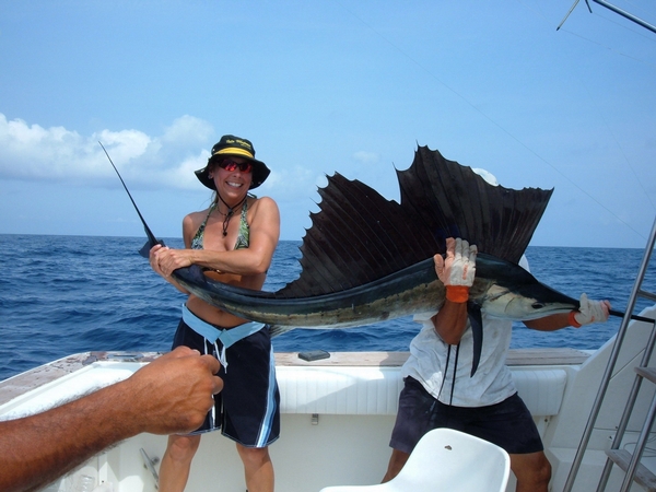 sailfish2.jpg