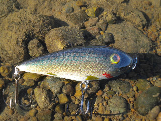 DSCN0348.JPG
