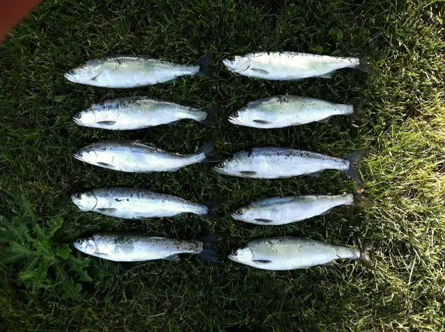 Clear 5.19.13 (2) (640x478).jpg