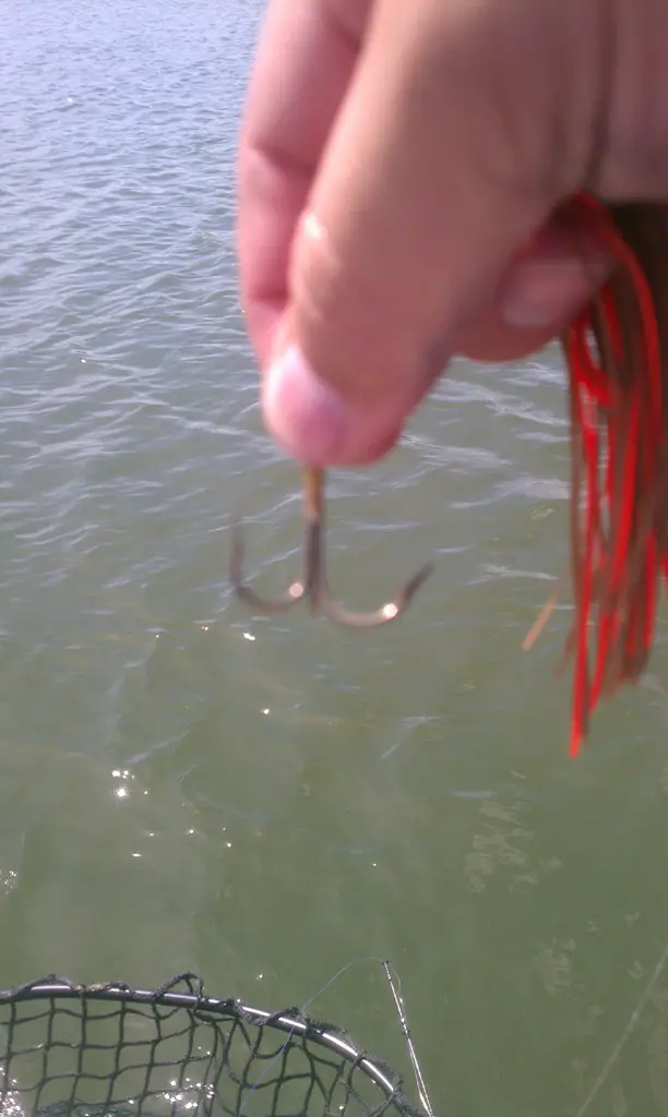 31 inch pike and hook damage.jpg