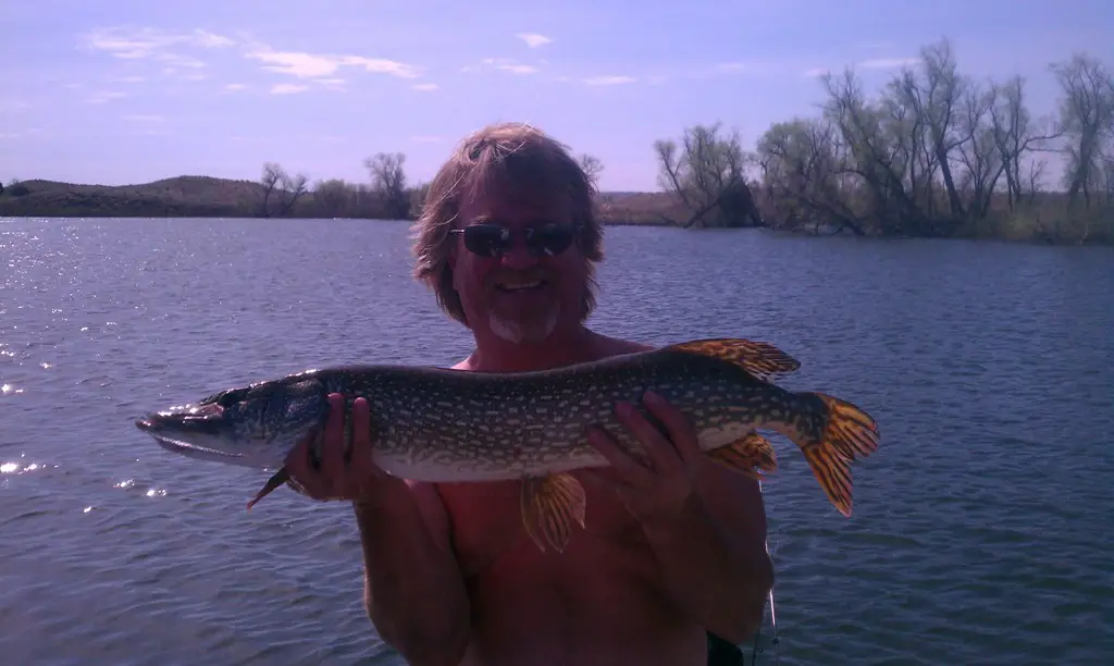 Dad's 33 incher.jpg