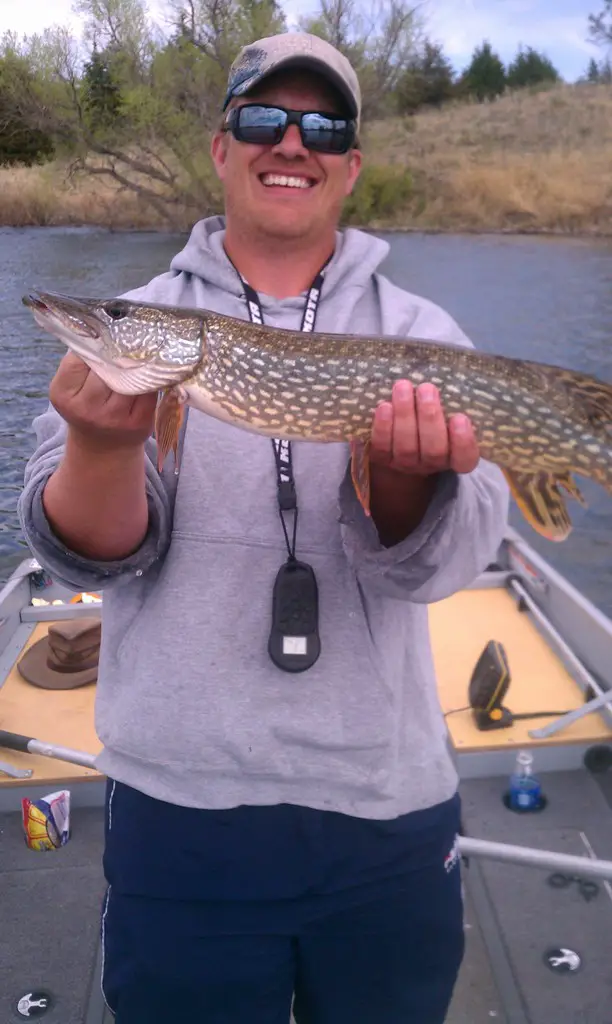 1 of my pike at Merritt.jpg