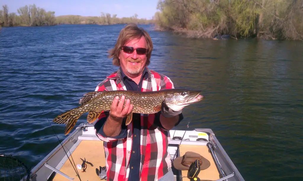 Resized Dad's pike 2.jpg