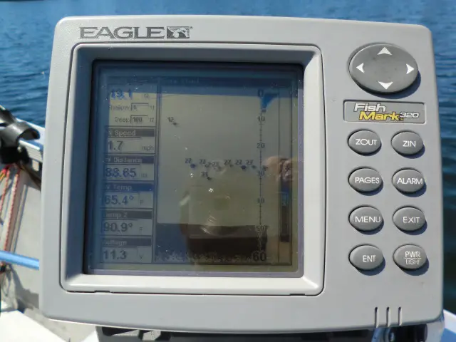 Angle Lake kokanee's and eagle 019.JPG