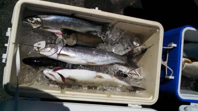 Derby Cooler 2 resize.jpg