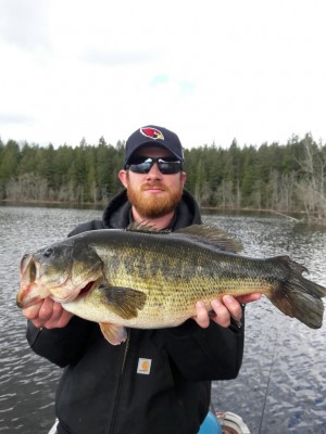 20170420_132054-768x1024.jpg (150.81 KiB) Viewed 26193 times 20170420_132054-768x1024.jpg