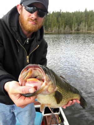 20170420_132120-768x1024.jpg (182.51 KiB) Viewed 26193 times 20170420_132120-768x1024.jpg