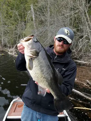 20170425_130106-768x1024.jpg (312.99 KiB) Viewed 26098 times 20170425_130106-768x1024.jpg