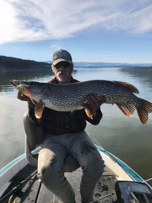 20+lb pike 4-10-20.jpg