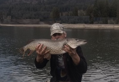 13 lb. ep 4-10-20.jpg