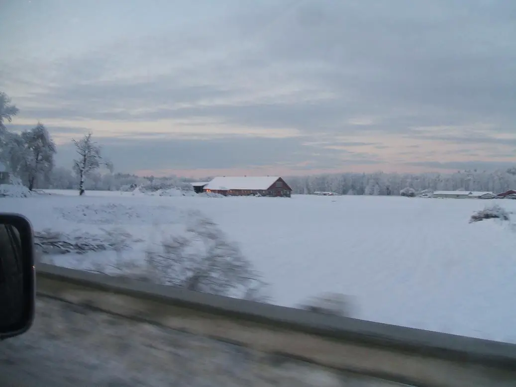 snow_08_028.jpg