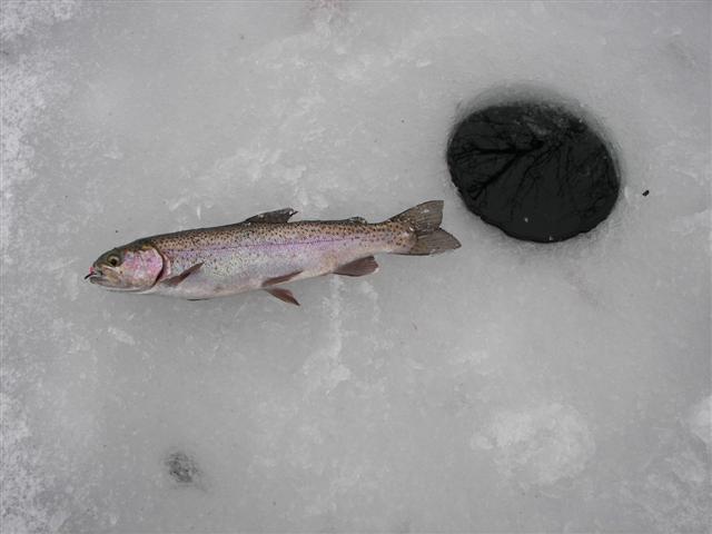 100_3548_Small.jpg