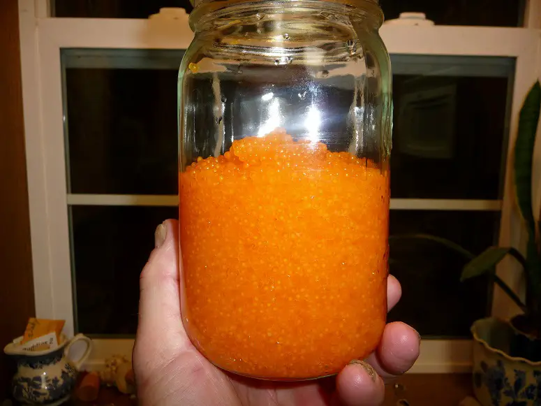 Whitefishcaviar 022.JPG