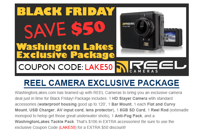 Black Friday REEL Deal.gif