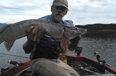34in. pike 6-20.jpg