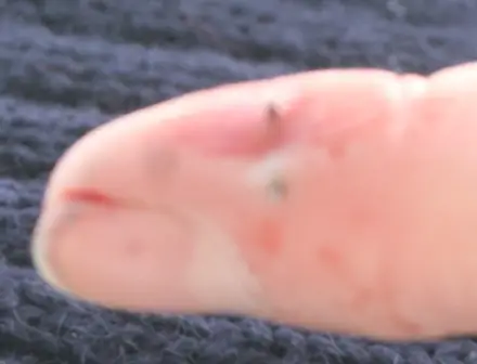 finger_fishing_001.jpg