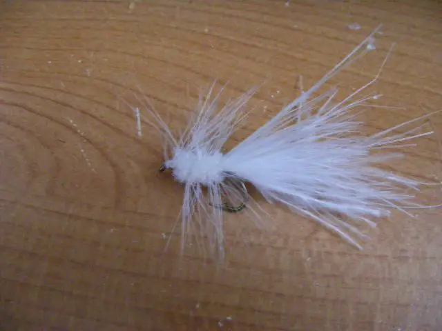 woolly_resize_12.jpg