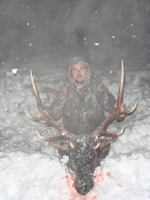 elk.jpg