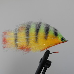perch_fly.jpg