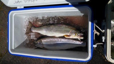 Derby Cooler 3 resize.jpg