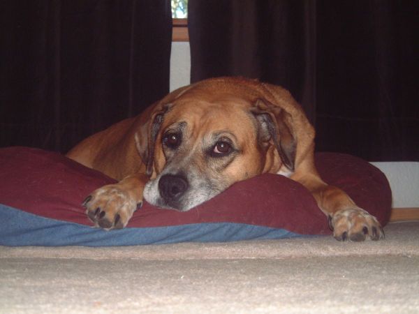 Princess2005resize.jpg