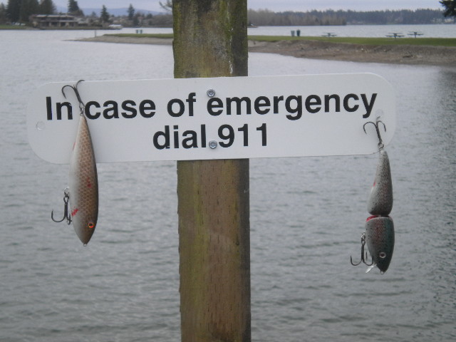 DSCN0479.JPG